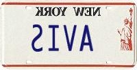 The license plate on that BMW.